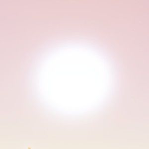 Meet your Posher, Kira